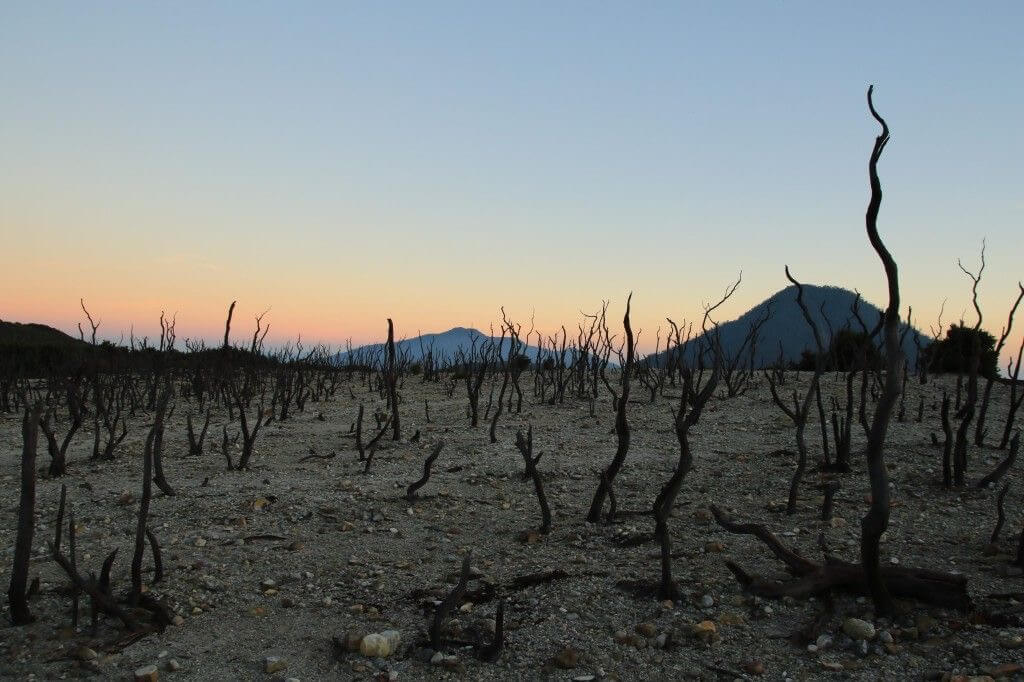 Ilustración del bombero pirómano: quién provoca el incendio y luego lo apaga, reflexión sobre el poder y la manipulación
